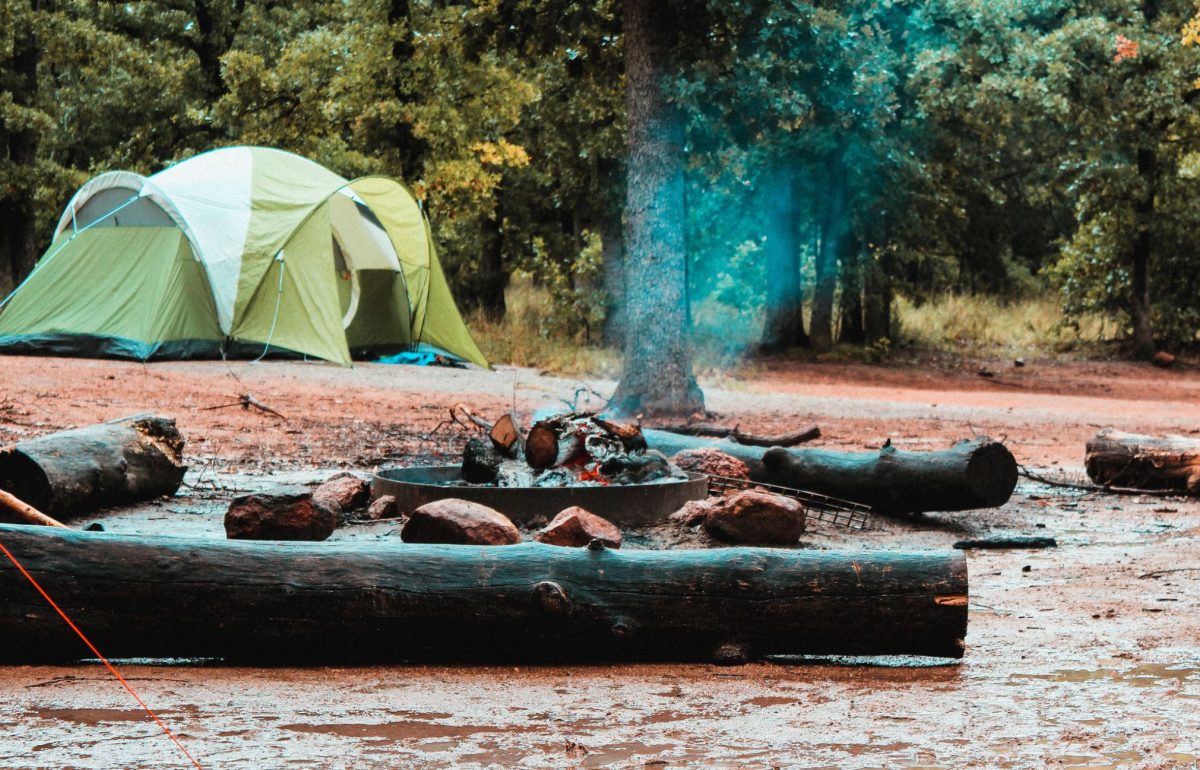 Firecamp at Congaree National Park, South Carolina