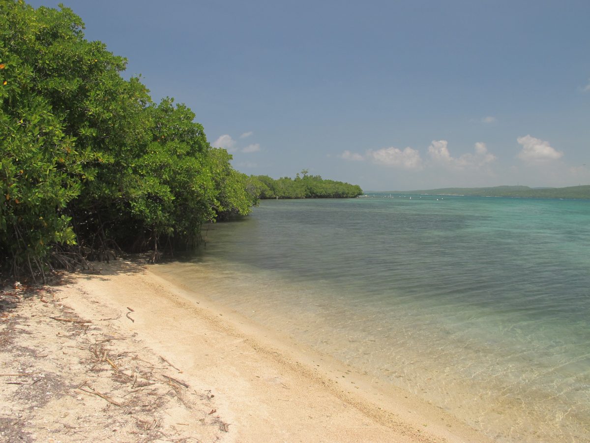 One of the uninhabited cays of the Cayos de Caña Gorda, Gilligan’s Island is one of the most popular ‘must see’ places of Puerto Rico.