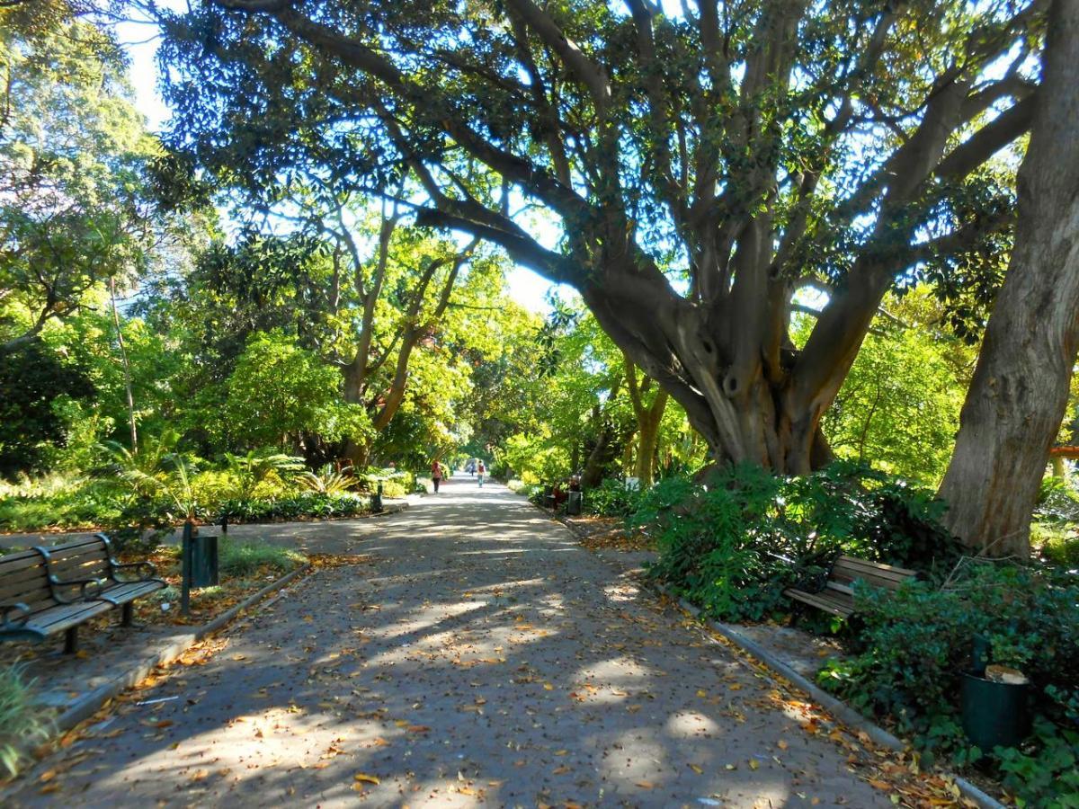 Company’s Garden, South Africa Gardens, Nima Lodge, South Africa Tourism