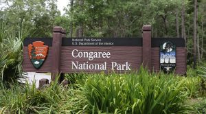 Congaree National Park, South Carolina