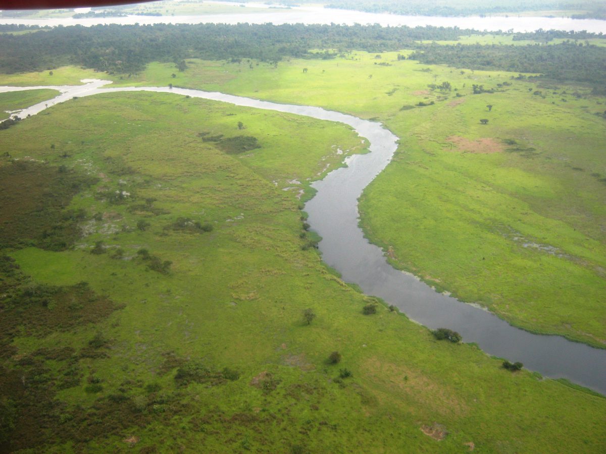 Congo River, African Rivers