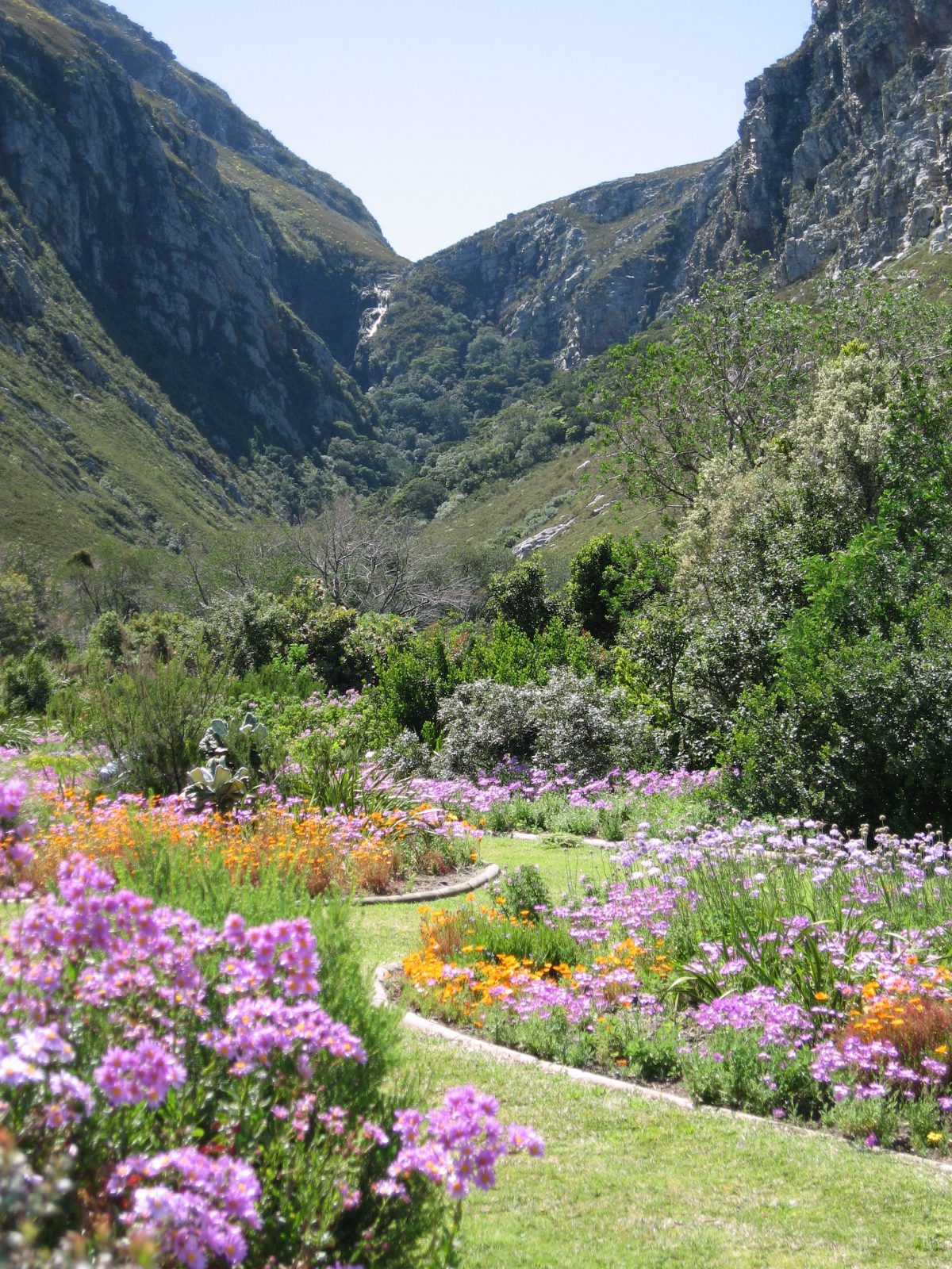 Harold Porter Botanical Gardens, South Africa Gardens, Nima Lodge, South Africa Tourism