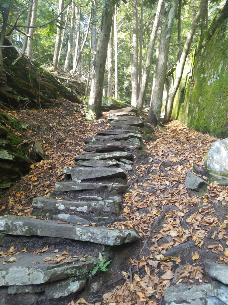 Rock steps Swallow Falls State Park