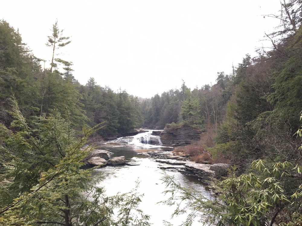 Swallow Tail falls river and trees