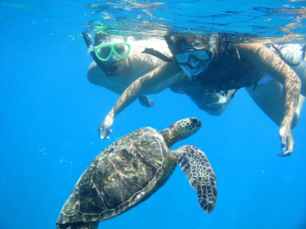 Oahu Snorkeling - www.touristsecrets.com