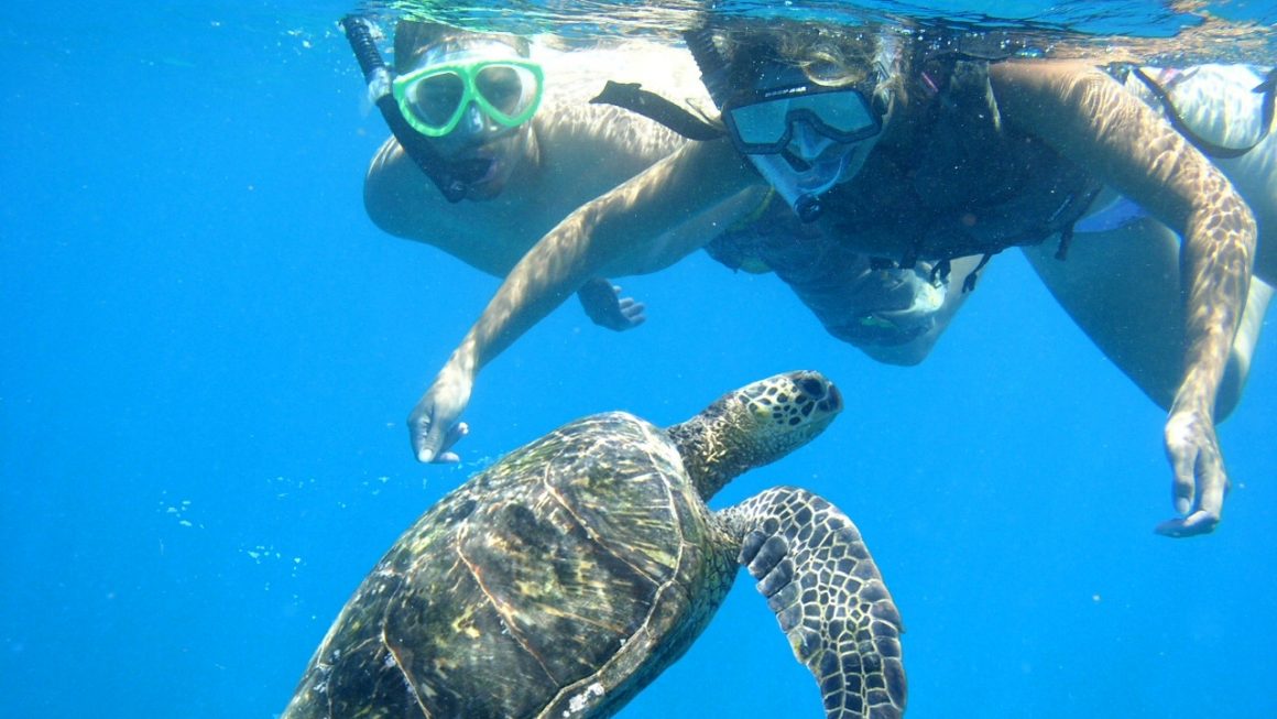 Best Places To Snorkel In Oahu For Free Get More Anythink's