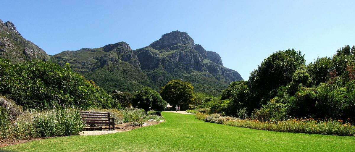 Kirstenbosch National Botanical Gardens, Cape Town, Things To Do In Cape Town