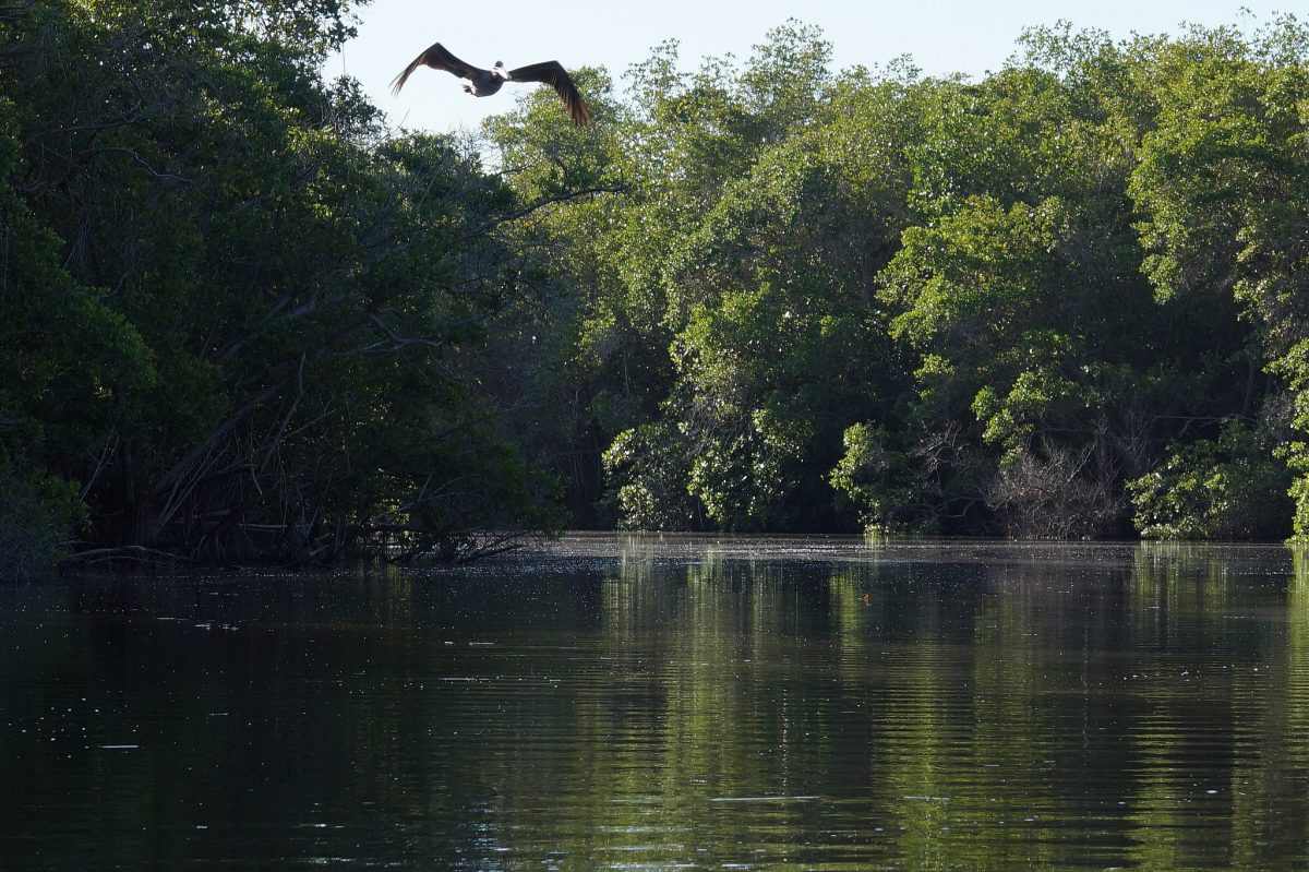 Things To Do In Puerto Escondido, Mexico, Maniltepec Lagoon