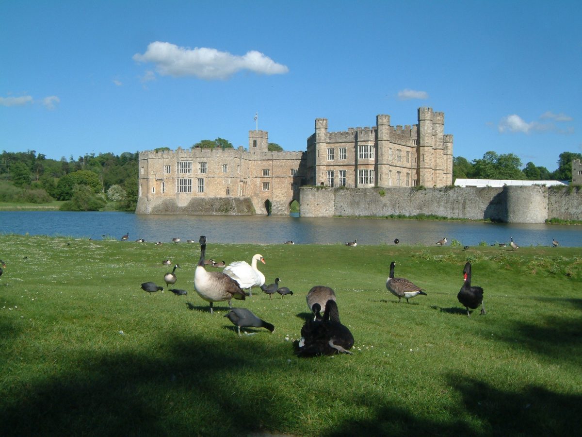 Leeds castle Leeds castle
