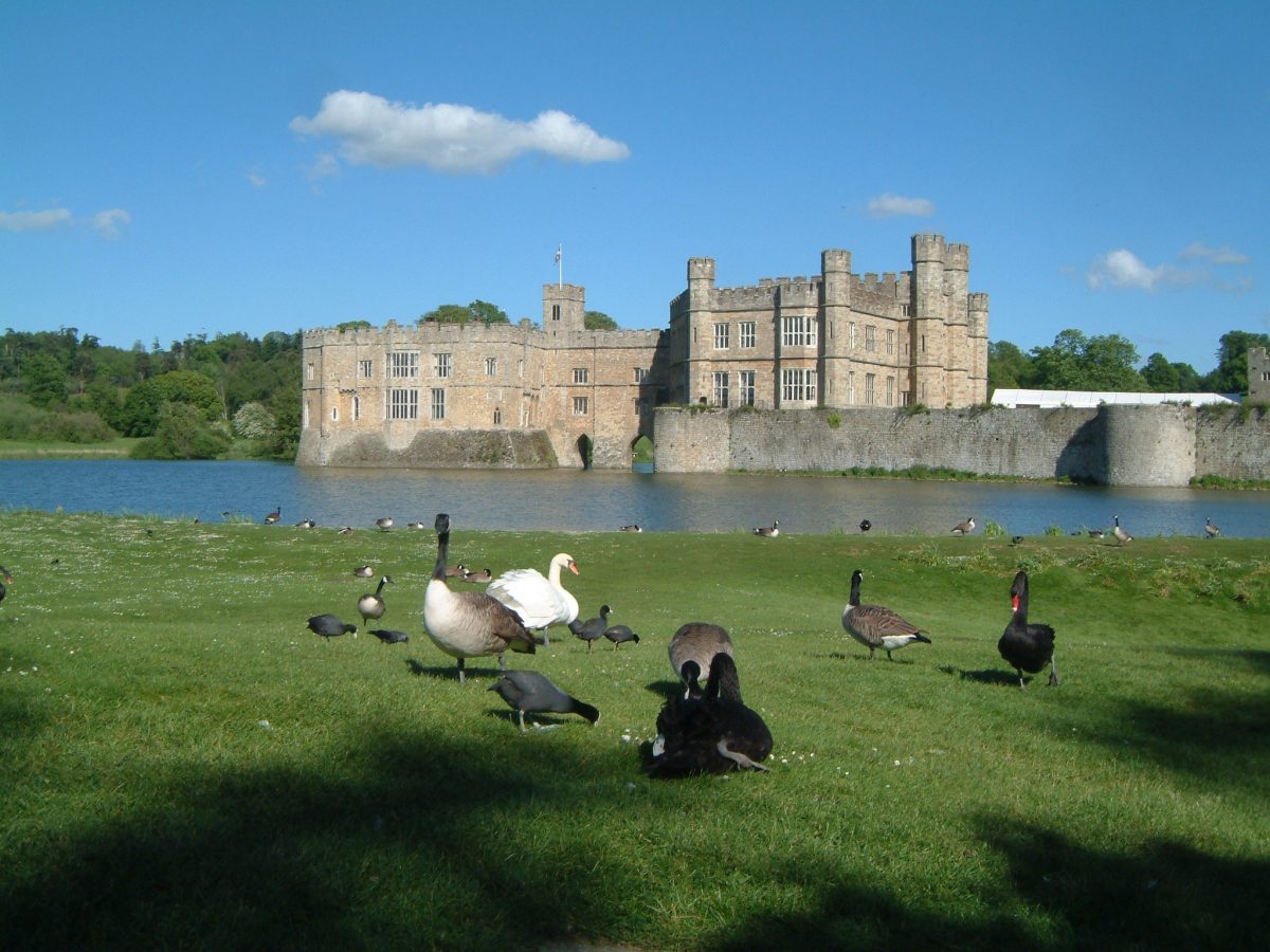 Leeds castle