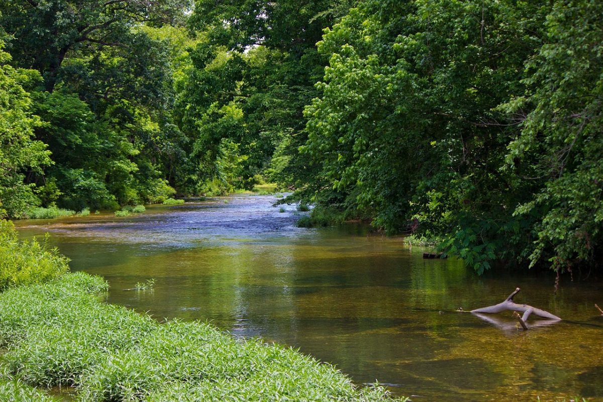 Oklahoma Tranquil Trees River Picturesque Things To Do In Oklahoma