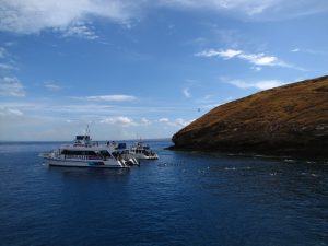 Lovely Molokini Bay, Maui