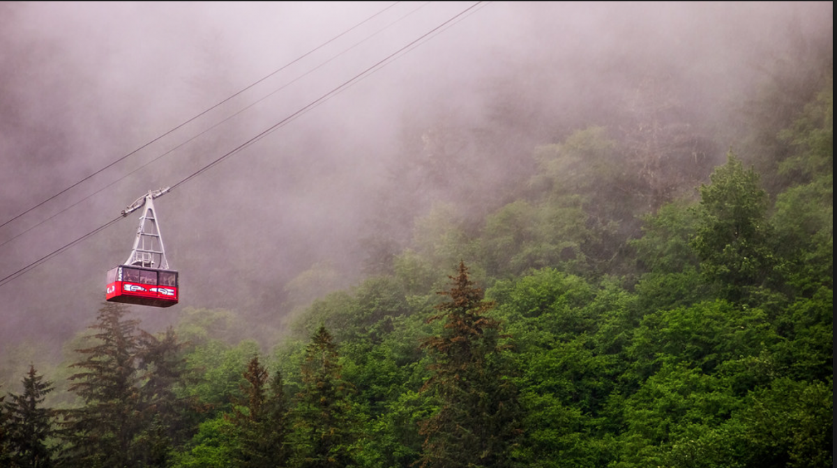 Take in the stunning views from a birds-eye perspective when you take a trip up the Mount Roberts Tramway.