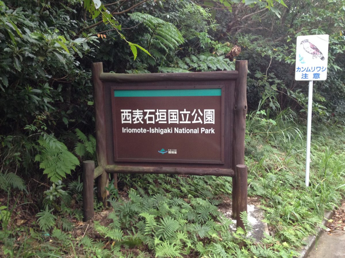 Iriomote-Ishigaki National Park is home to Japan’s only sub-tropical rainforest.