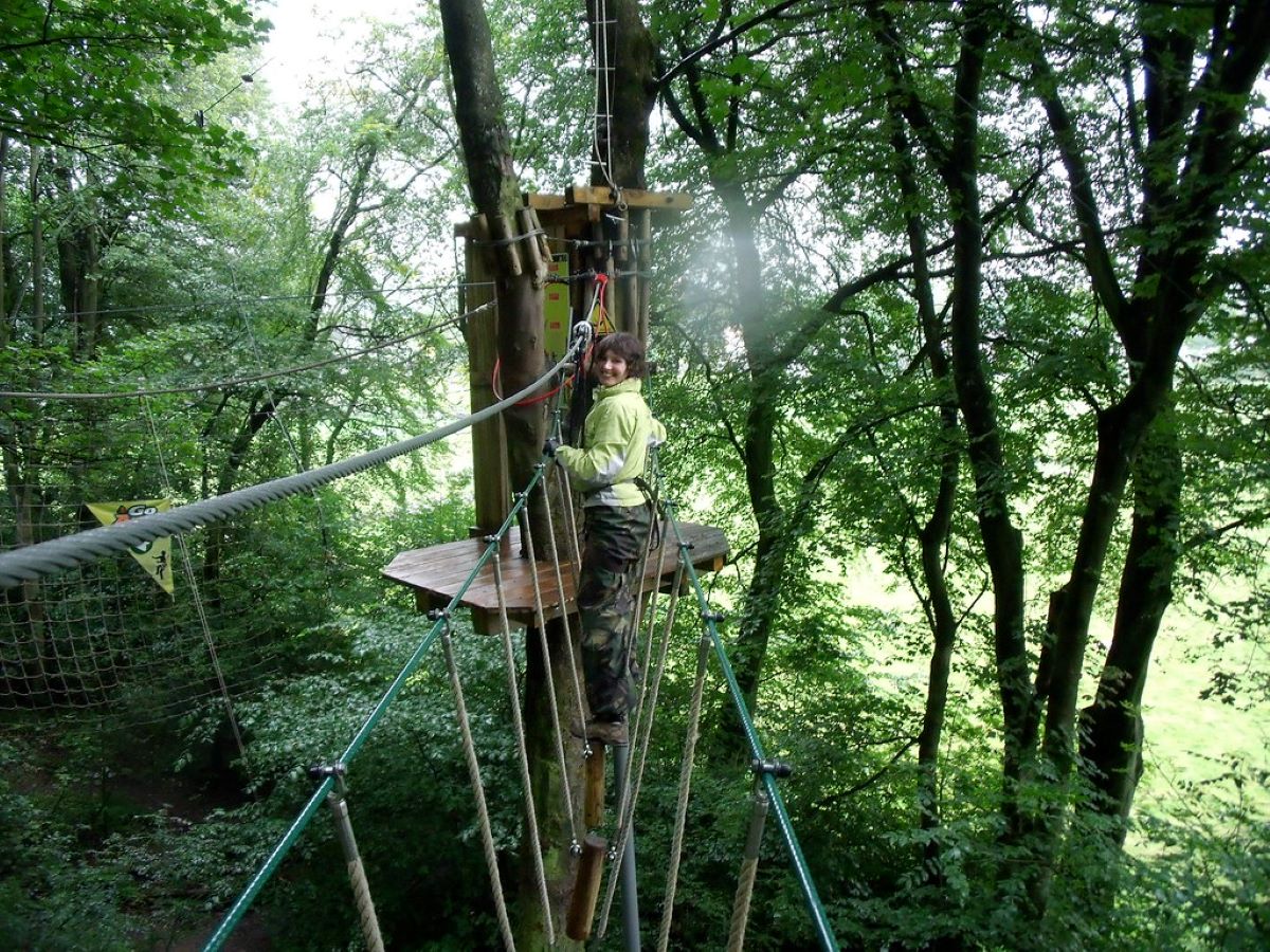 o Ape is perfect for a dose of thrill and adventure o Ape is perfect for a dose of thrill and adventure