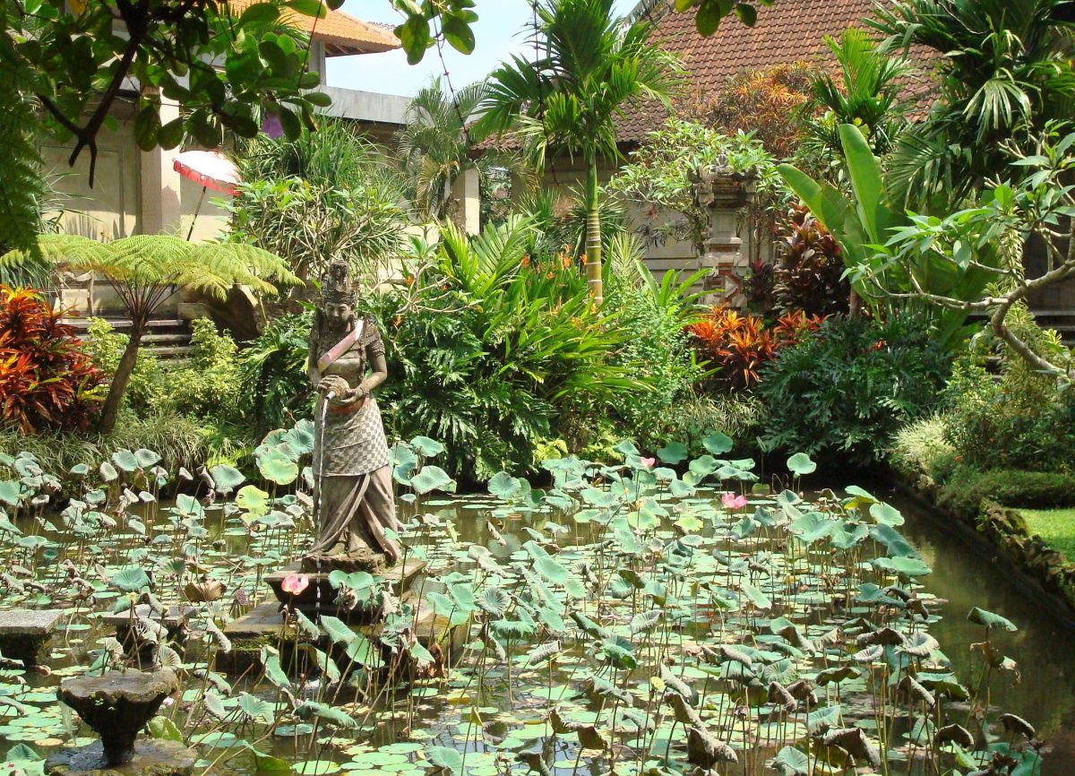 Puri Lukisan Museum with lotus flower Puri Lukisan Museum with lotus flower