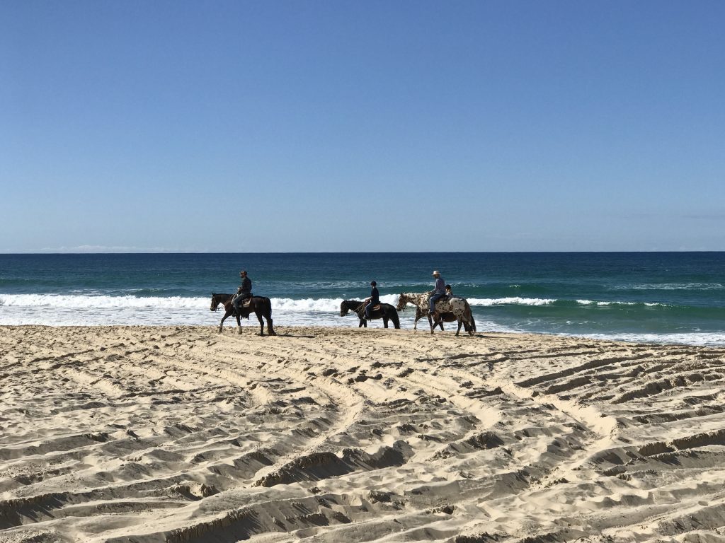 Horseback riding at Gozo Malta