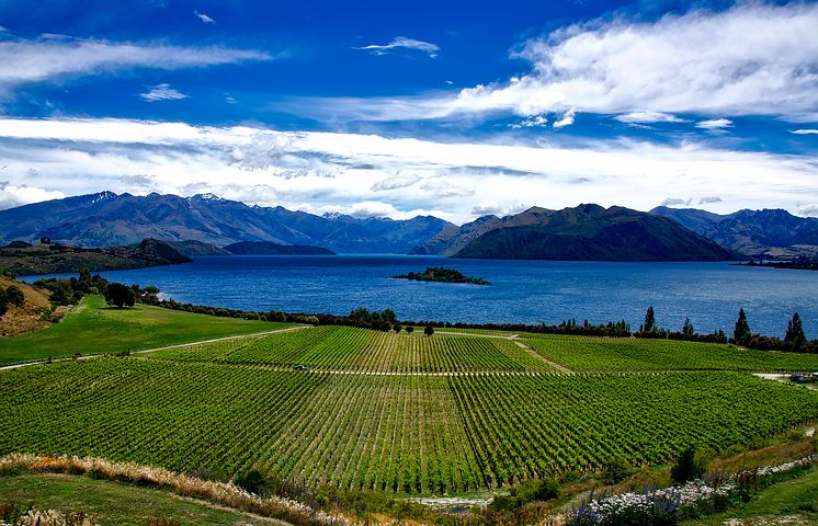 Rippon NZ