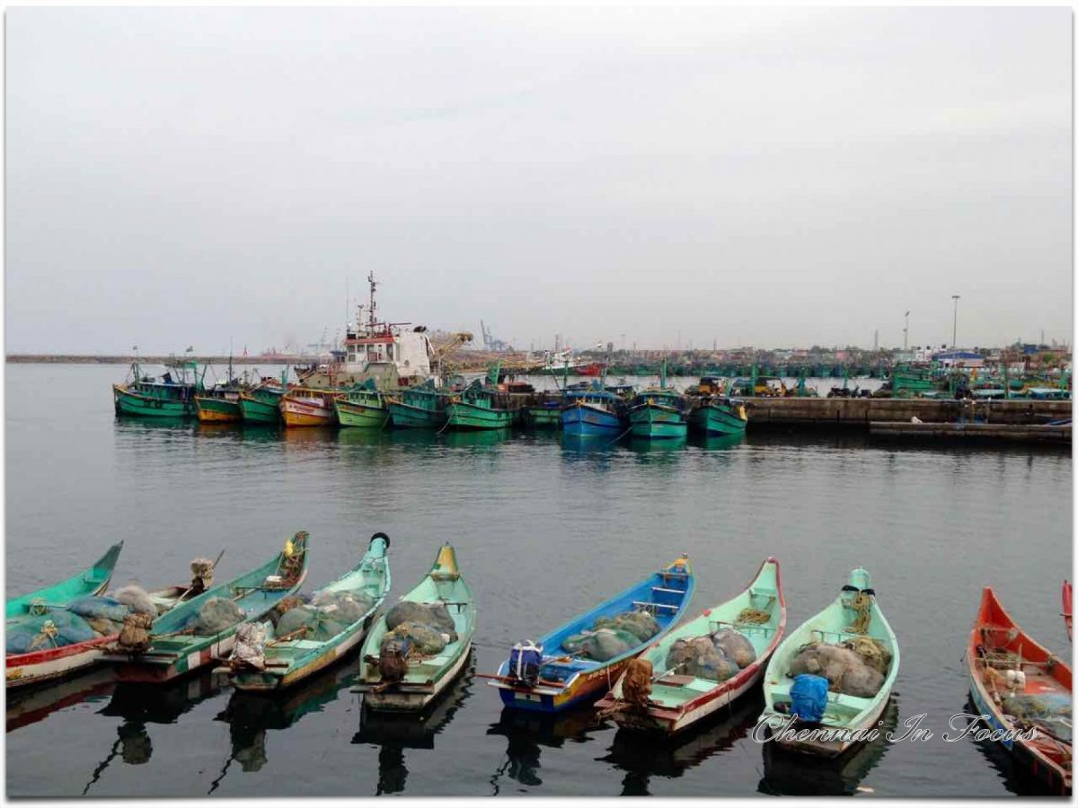 Royapuram-Fishing-Harbour