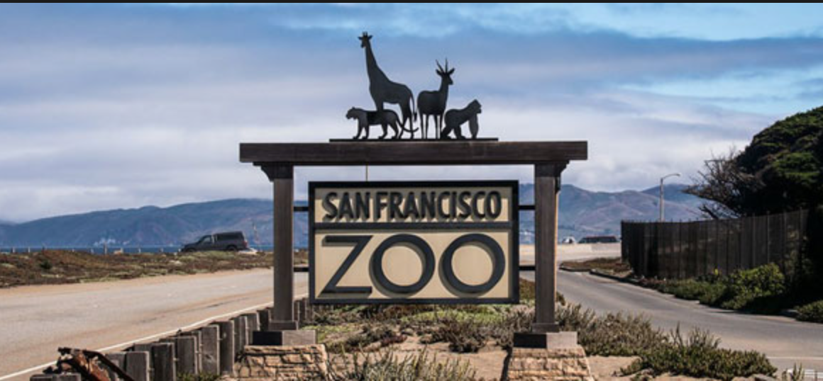 Everything You Need To Know About San Francisco Zoo TouristSecrets