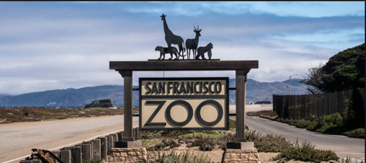 San Francisco Zoo, www.sfzoo.org:visit:combo-packages San Francisco Zoo opens its doors to thousands of visitors every year and is home to over 1000 animals of 250 different species