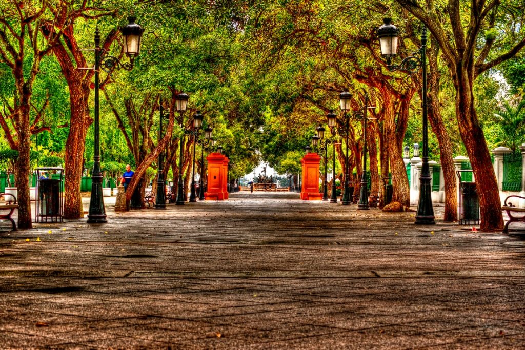 San Juan walkaway lined with trees on both sides