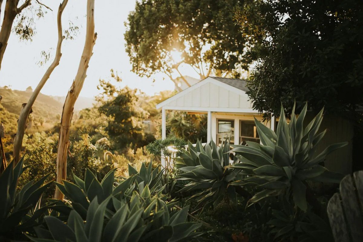 House for rent amidst greenery