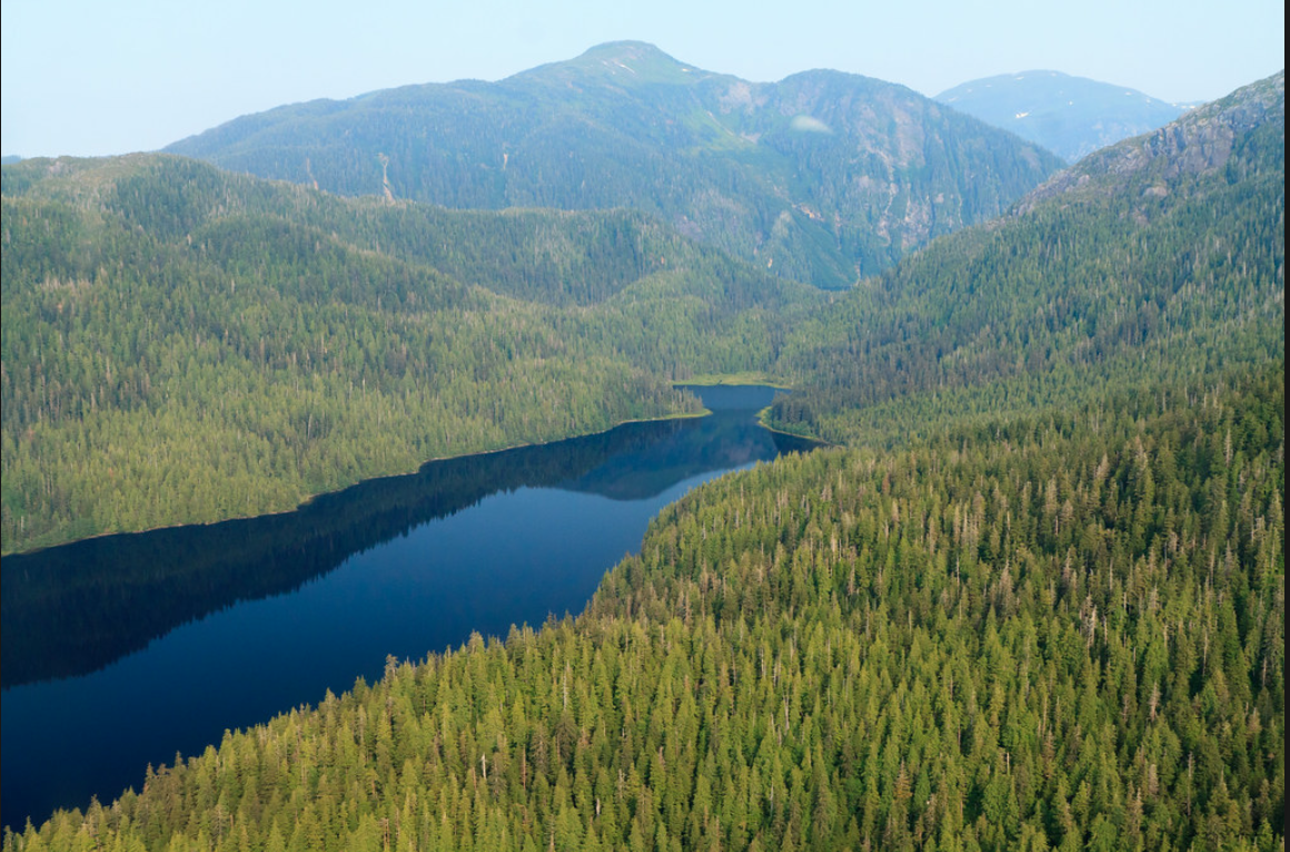 The green and blue jewel that is the Tongass National Forest stands proudly in Southeast Alaska.