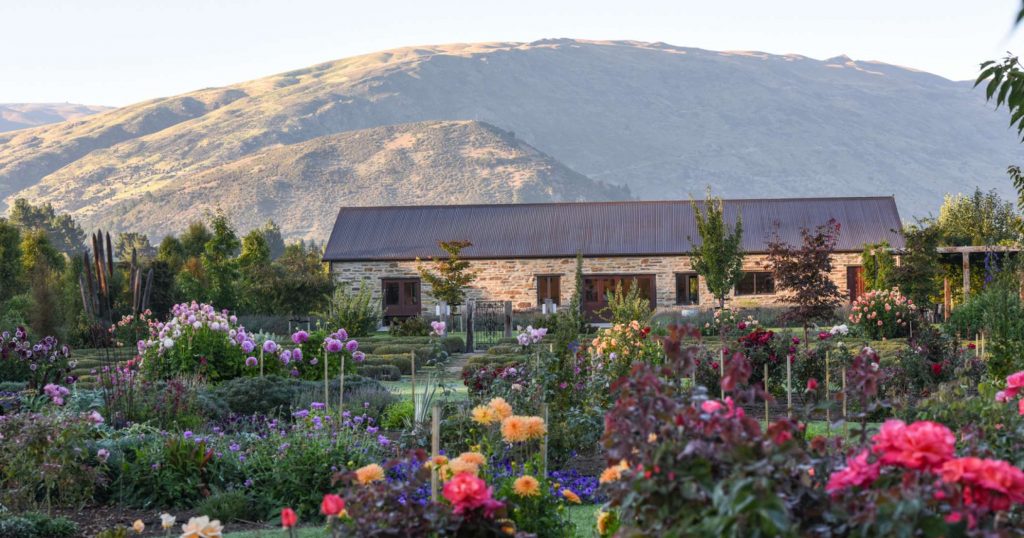 Lavender Farm Wanaka