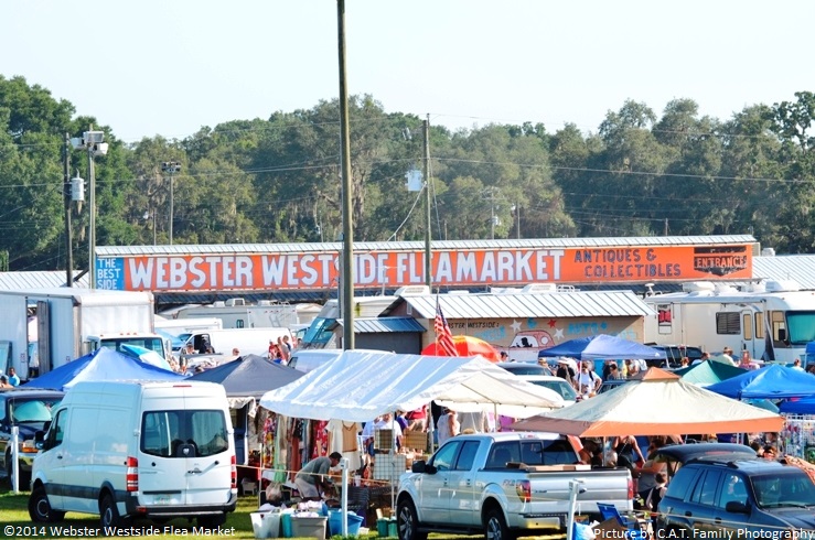 Webster Flea Market