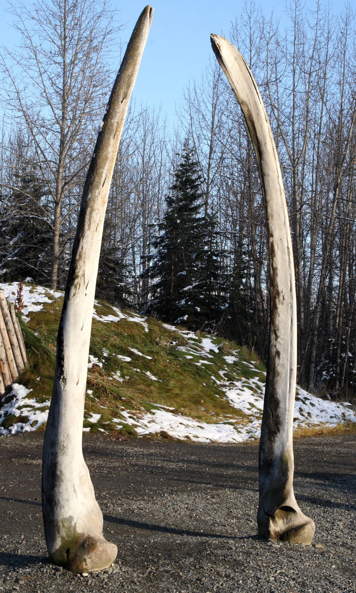 Located in Anchorage, the Alaska Native Heritage Centre is an educational and cultural hub that informs and educates the public about the Native Alaskan tribes that populate the state.