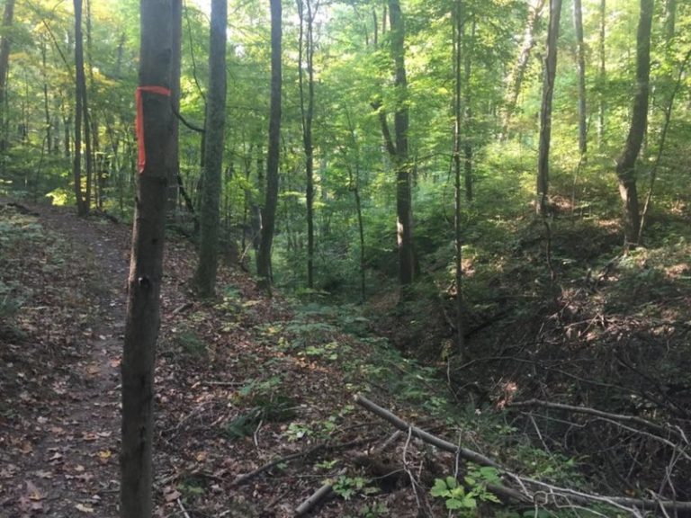 Top 10 Hiking Trails In The Ohio Wilderness TouristSecrets