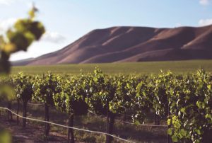 Wine 1 1 300x202 - 10 Romantic Getaways In Santa Monica, California