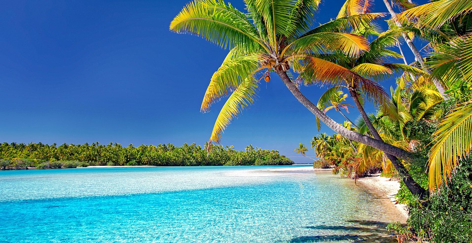 Palm tree on white sand Aitutaki beach, Cook Islands