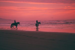 The Best Places To Go Horseback Riding In The US austin neill wQz3vdyueDE unsplash 300x200 - The Best Places To Go Horseback Riding In The US