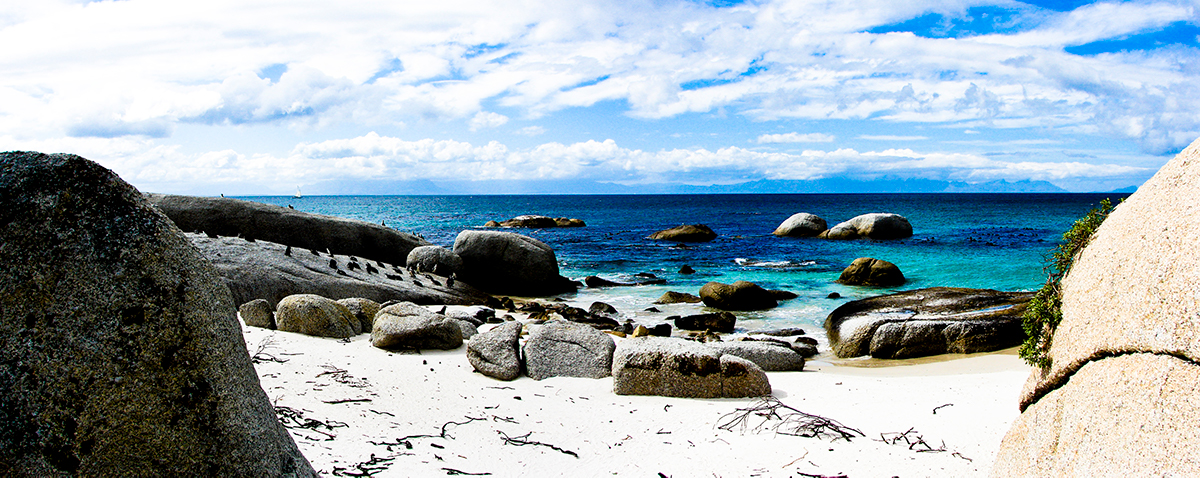 Boulders Beach, Cape Town, Things To Do In Cape Town 