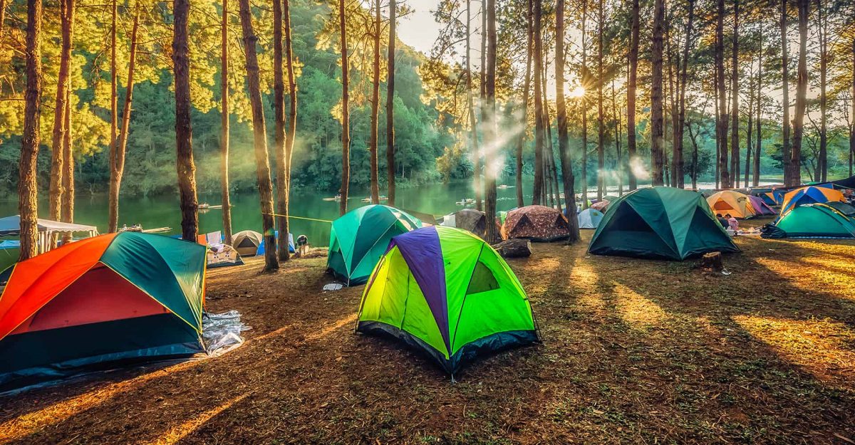 Ultimate List of Must-Have Family Camping Gears TouristSecre