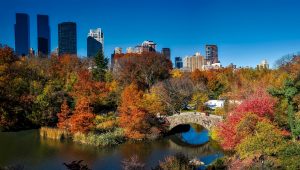 Manhattan Weather, Autumn, Central Park