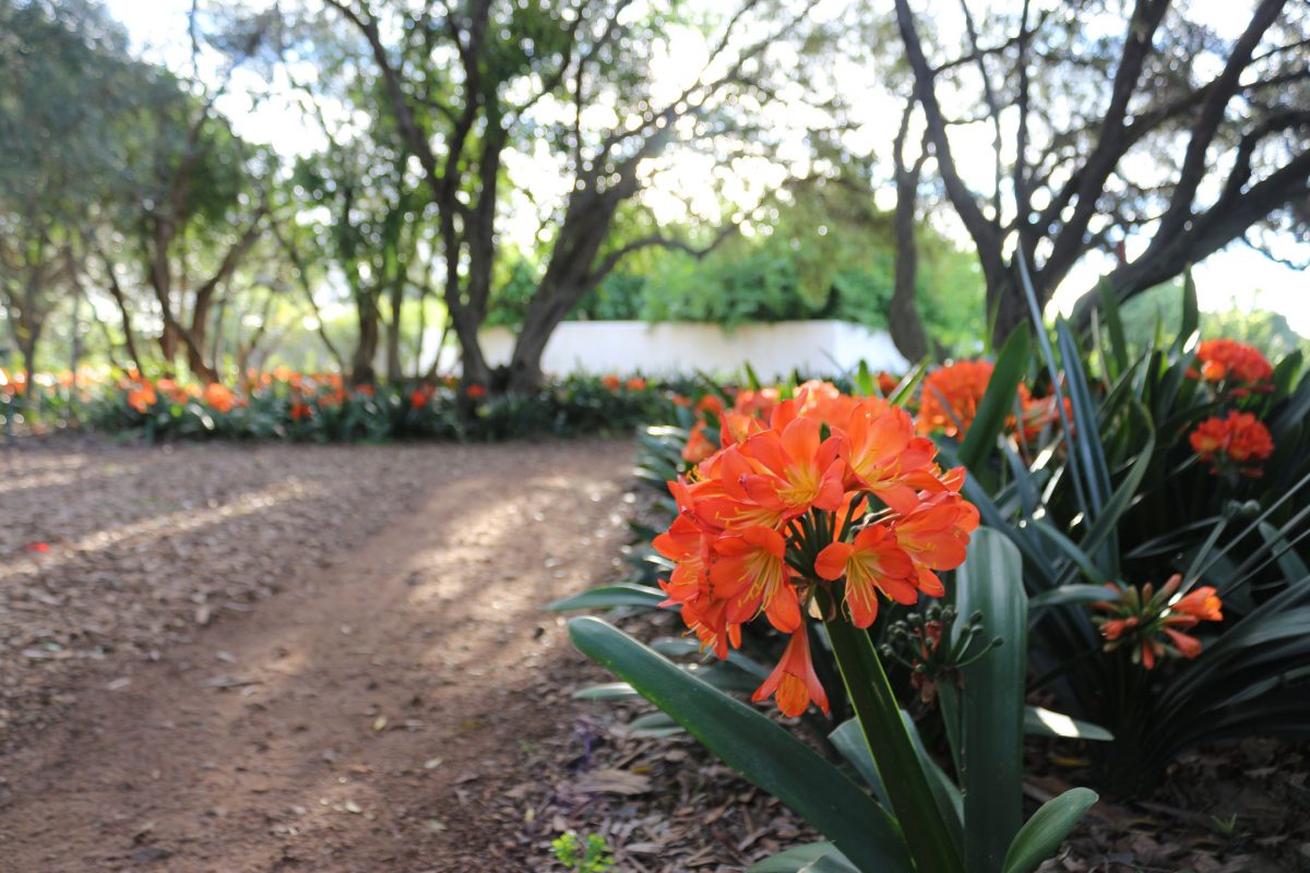 South Africa Gardens, Nima Lodge, South Africa Tourism