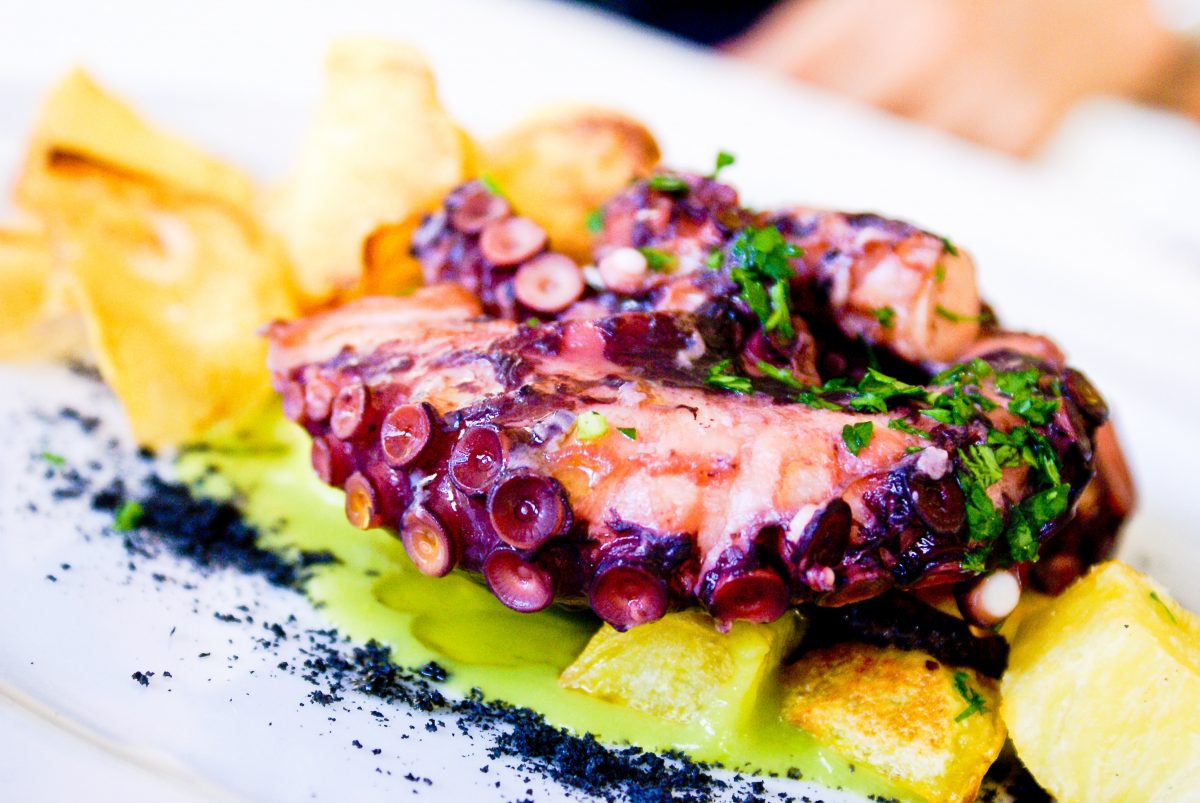 The Best Seafood Restaurants In The U.S. close up cuisine delicious 921361 - The Best Seafood Restaurants In The U.S.
