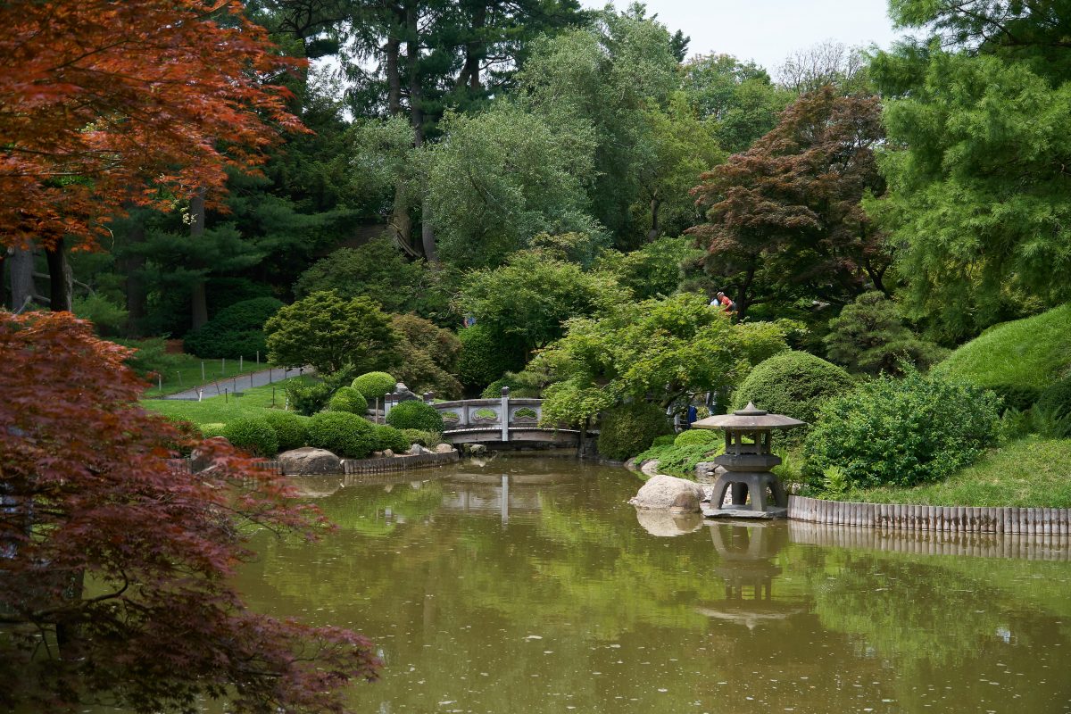 Everything You Need To Know About The Brooklyn Botanic Garden dmirty fisenko h brS34xriI unsplash - Everything You Need To Know About The Brooklyn Botanic Garden