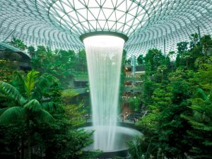feat 300x225 - 5 Fun Things To Do In Singapore's Changi Airport