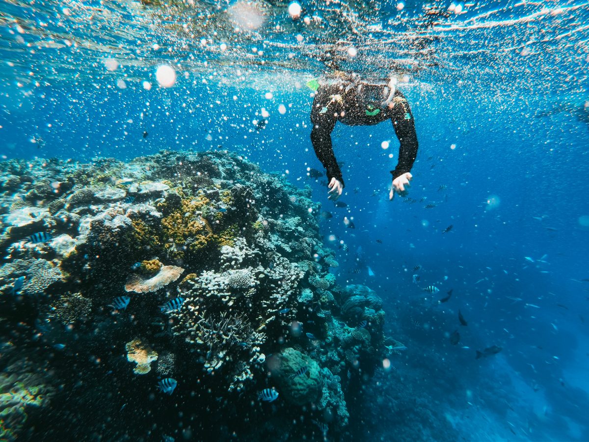 The Great Barrier Reef, Queensland, Australia, Top 3, World Traveller