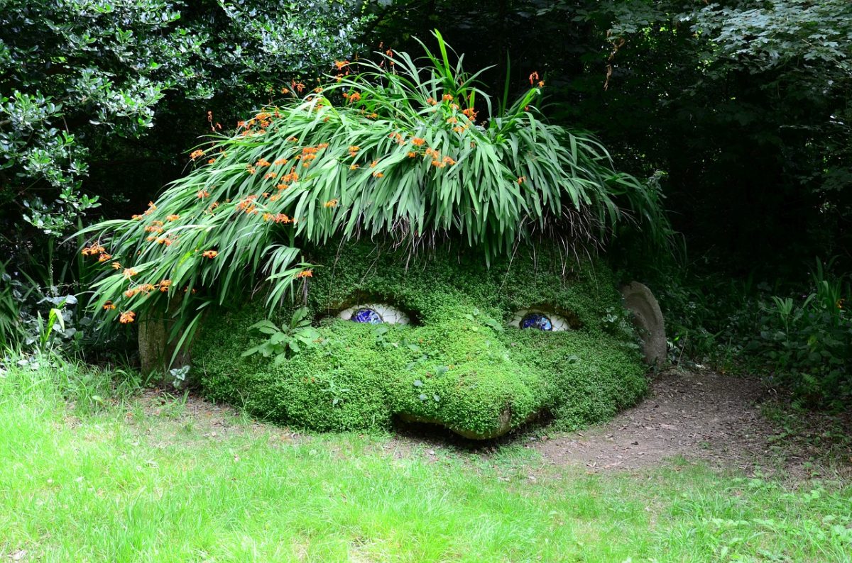 Heligan things to do in Cornwall Heligan things to do in Cornwall