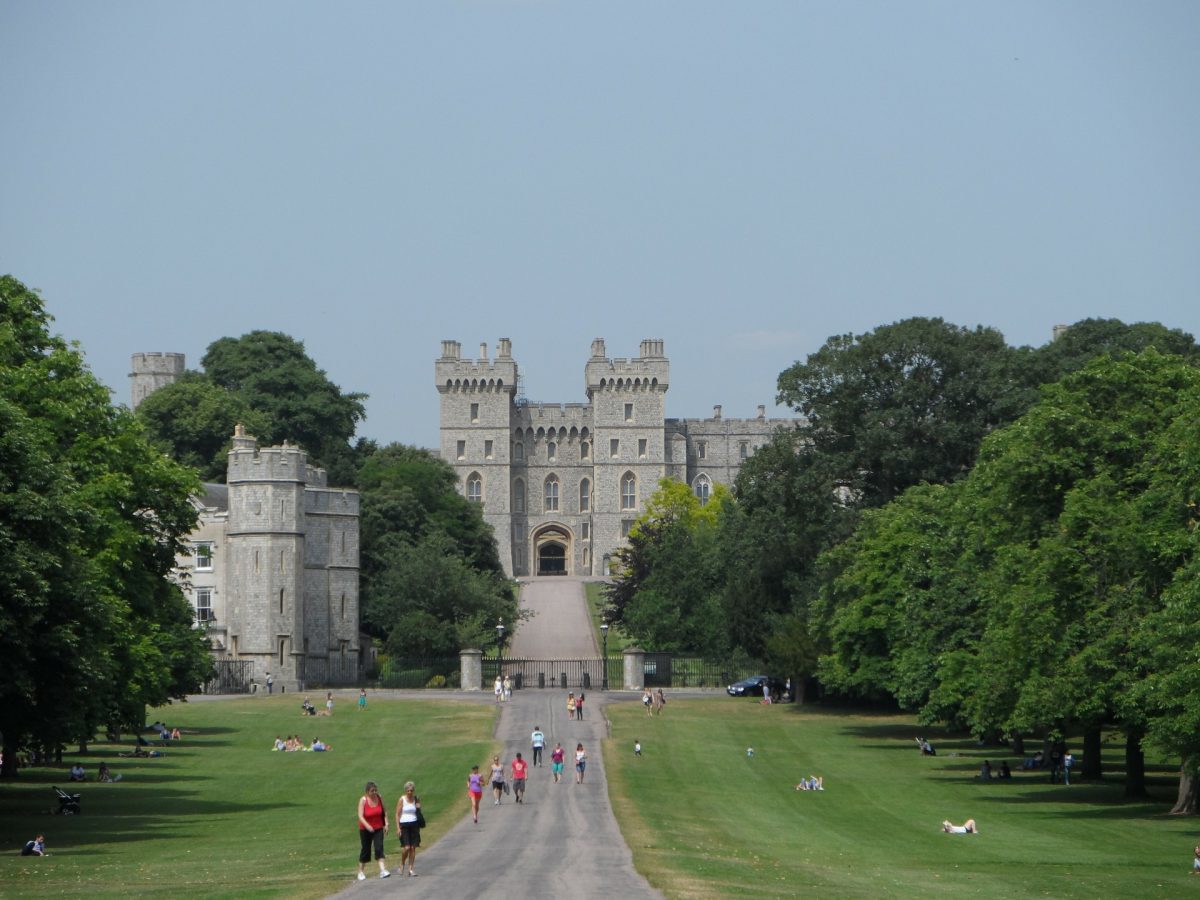 View of a castle rising up from behind the trees