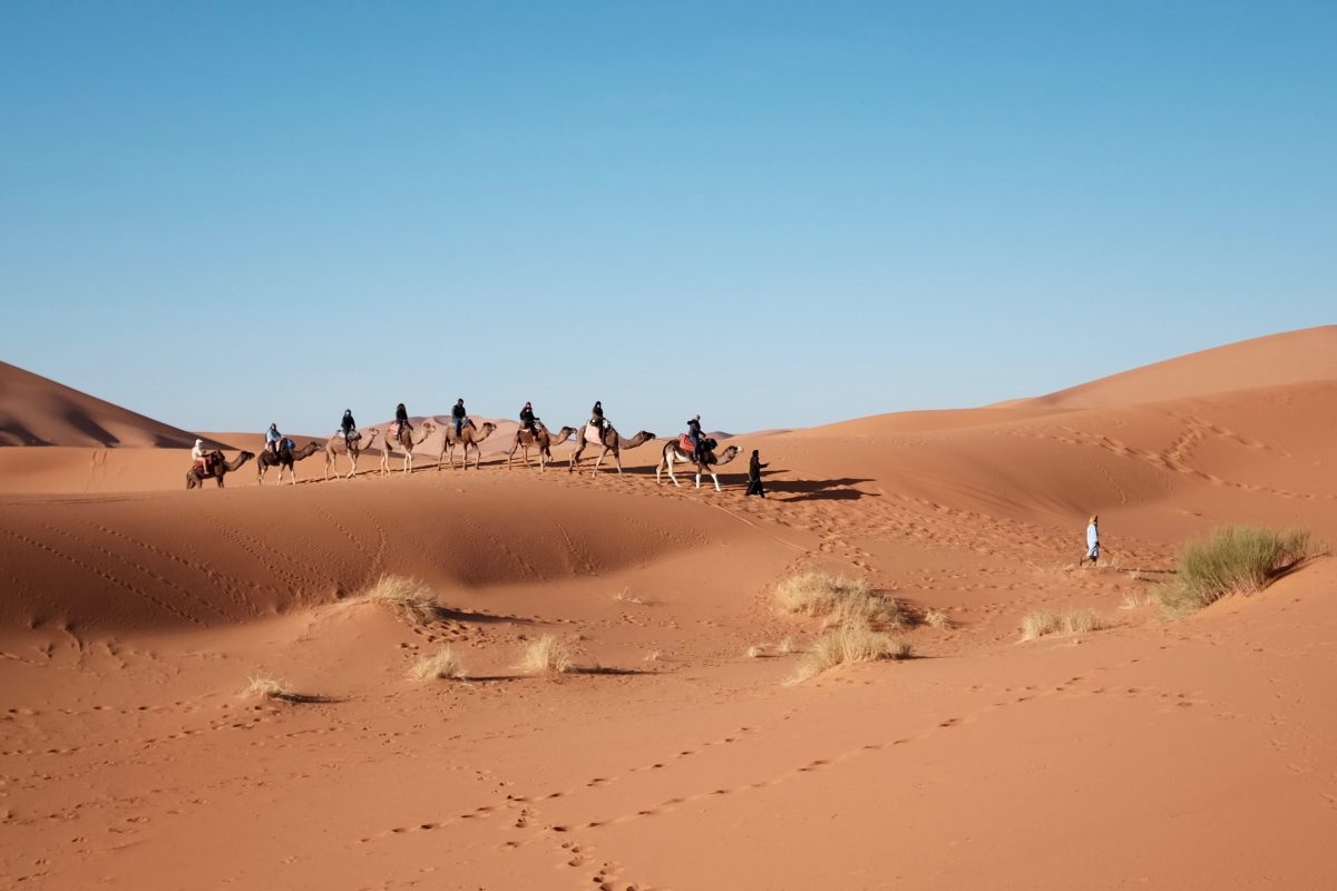 kalahari desert