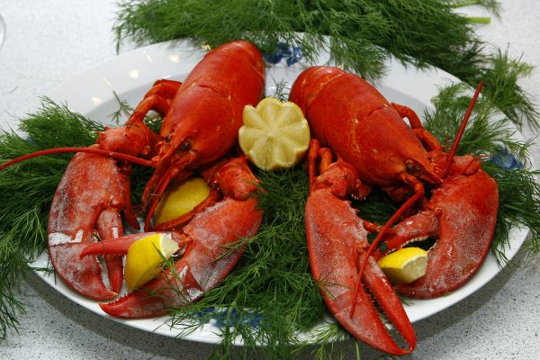 The Best Seafood Restaurants In The U.S. | TouristSecrets