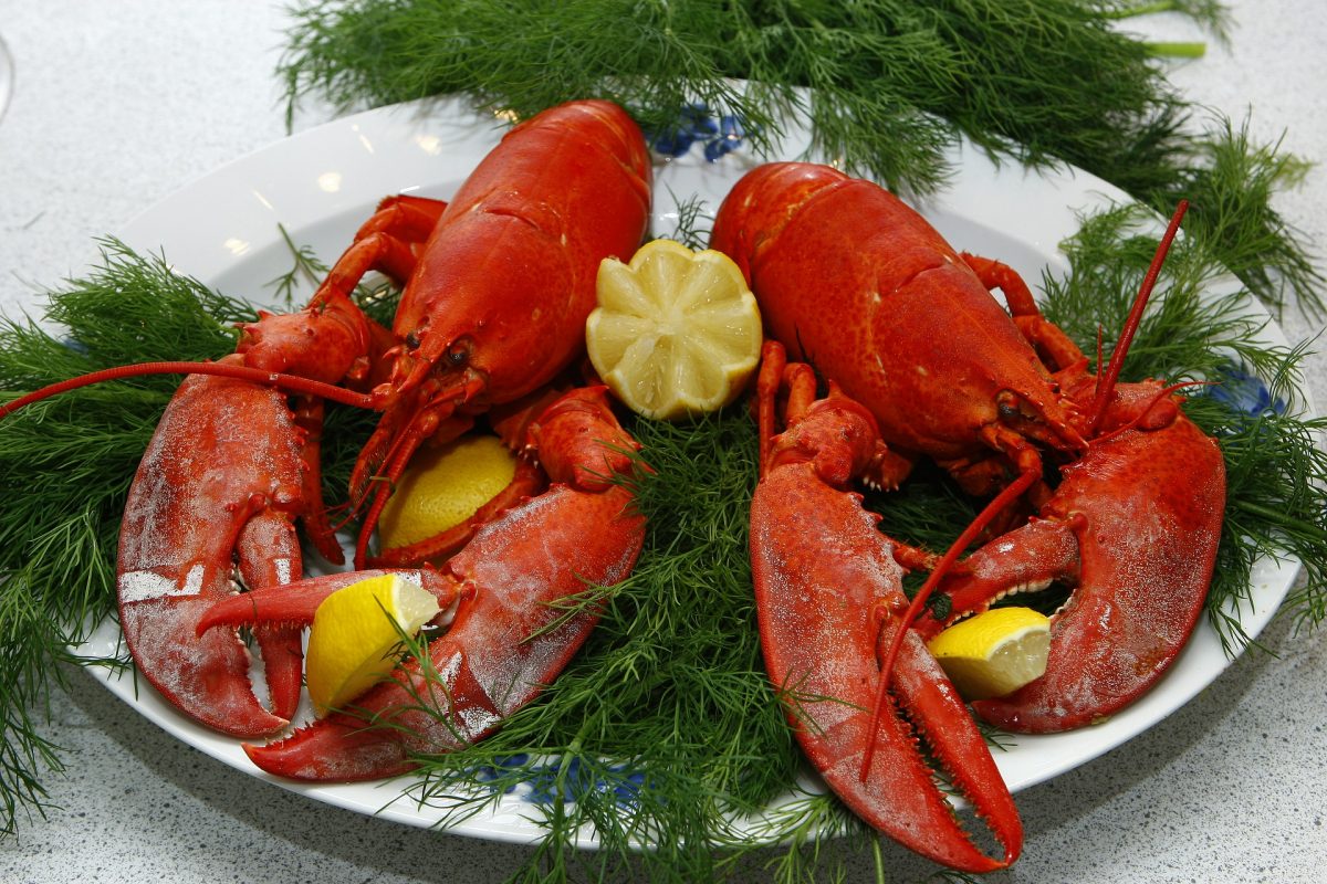 The Best Seafood Restaurants, Lobsters, Row 34