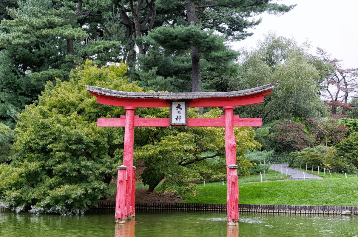 Everything You Need To Know About The Brooklyn Botanic Garden nature 3060337 1920 - Everything You Need To Know About The Brooklyn Botanic Garden
