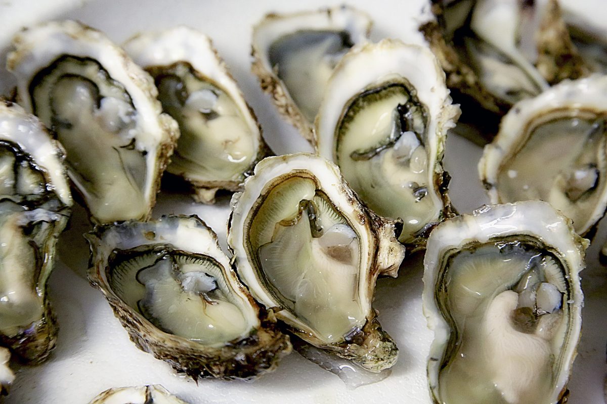 Oysters, The Best Seafood Restaurants, Row 34